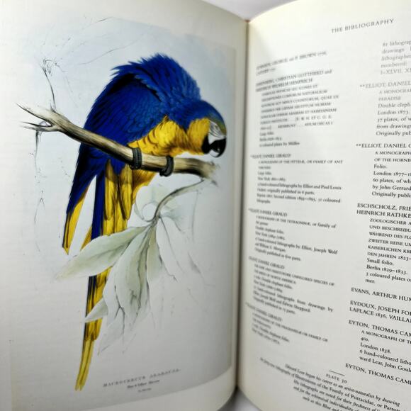 Fine Bird Books 1700-1900 by Sacheverell Sitwell Atlantic Monthly hardcover book - Picture 13 of 13